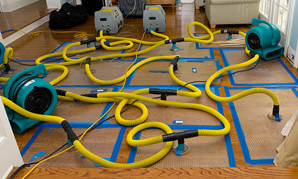 Professional Crawl Space Water Removal technician working in Lakeville, MA